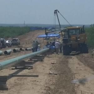 Meet your Posher, Rodrigo